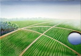 La promesse du lointainde Jean-Paul COUCKE